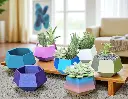 20250614_170026-Photoroom.webp